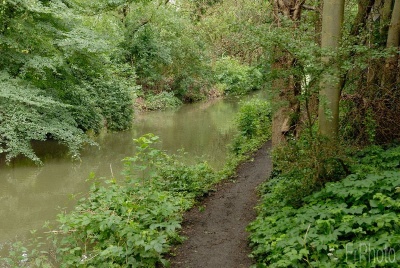 Pad langs Waterlinieweg