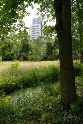 Provinciehuis vanuit Bloeyendael